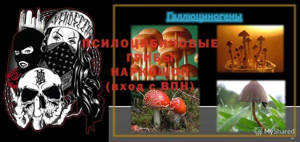шишки Остров