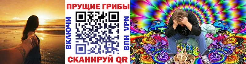 Псилоцибиновые грибы мицелий  Ростов 